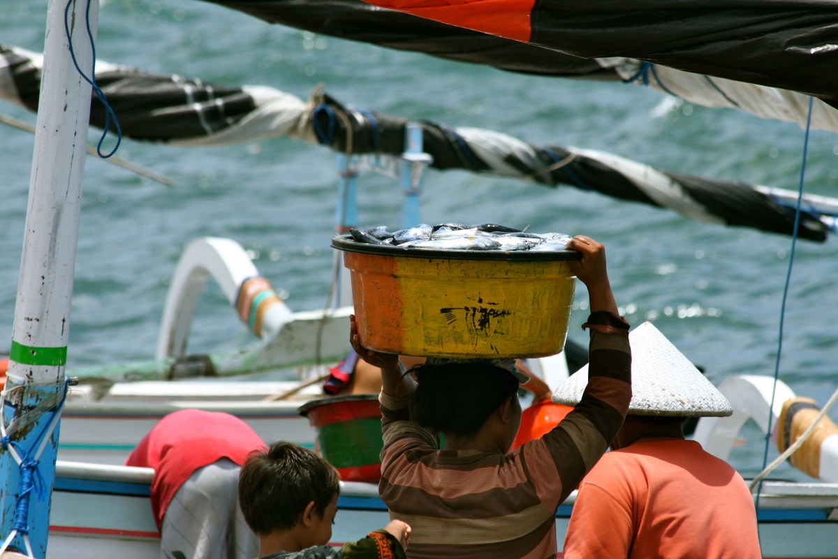 Lombok woman carrying fish on her head