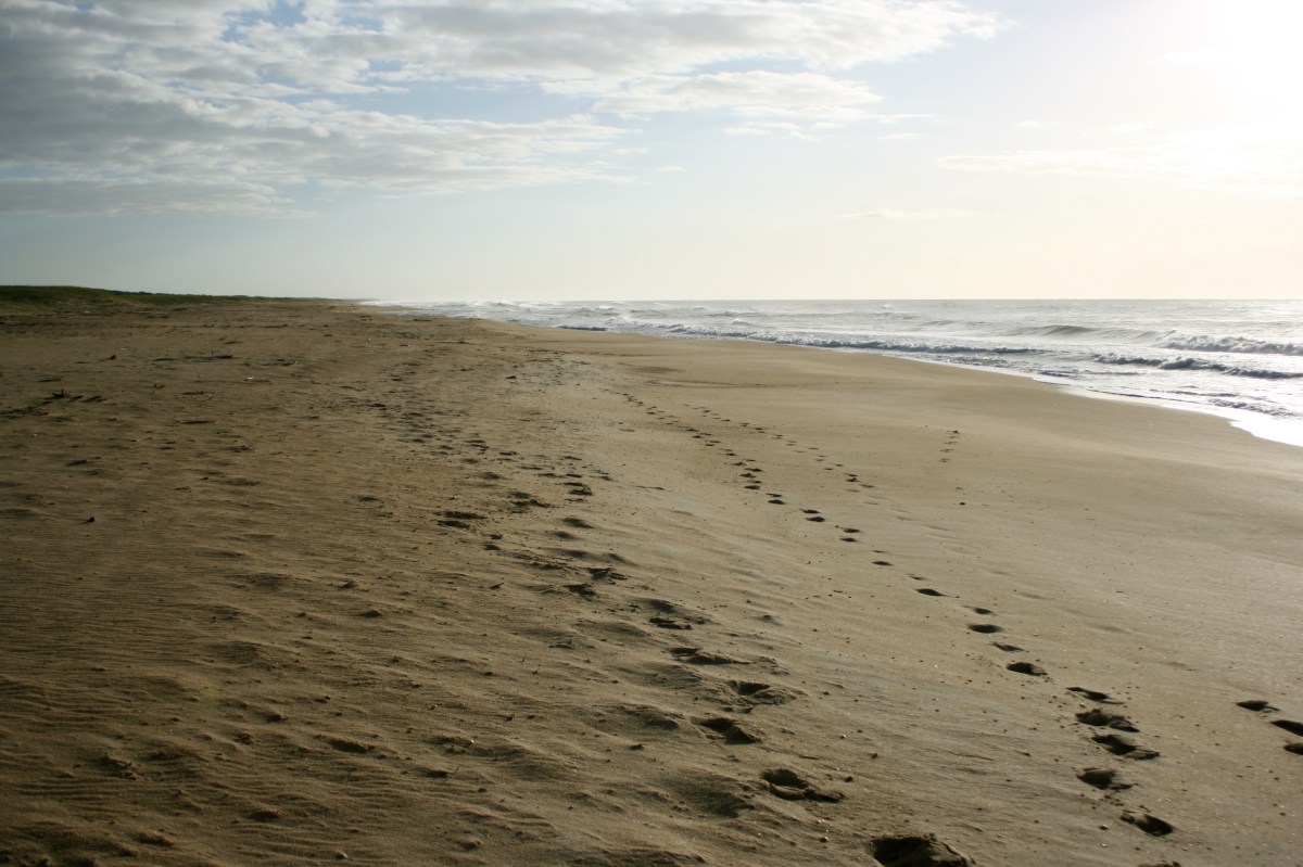 San Antonio Beach Rocha
